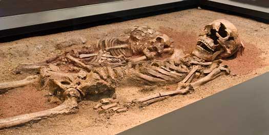 A young woman from Vedbeak, Denmark, was buried next to her baby kid in the year 4000 BC, and her son was carried on the wings of a swan.