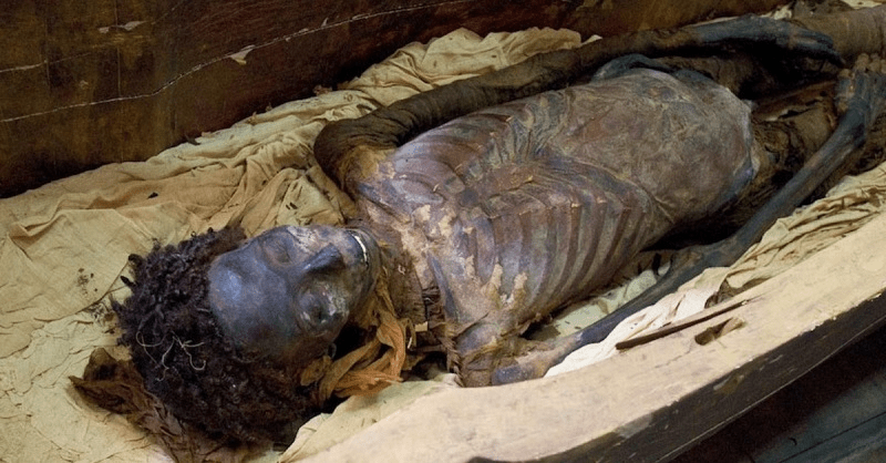 Miraculously, the mummy’s curly hair has not changed for three thousand years - Mnews