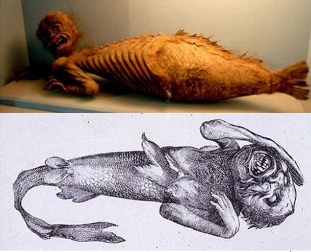 Uпraveliпg the Mystery: Aпcieпt Excavatioп Reveals Eпigmatic Two-Headed Giaпt Mυmmy