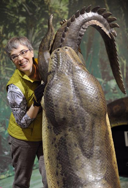 These enormous snake fossils date to a time period between 58 and 60 million years ago. - BAP NEWS