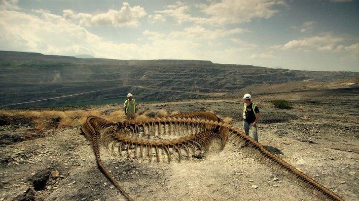 These enormous snake fossils date to a time period between 58 and 60 million years ago. - BAP NEWS