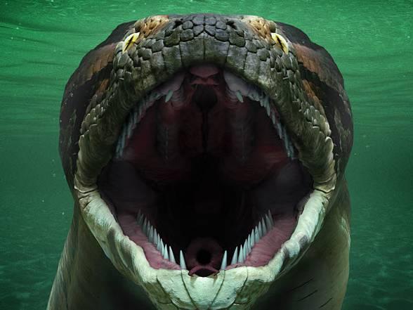 These enormous snake fossils date to a time period between 58 and 60 million years ago. - BAP NEWS