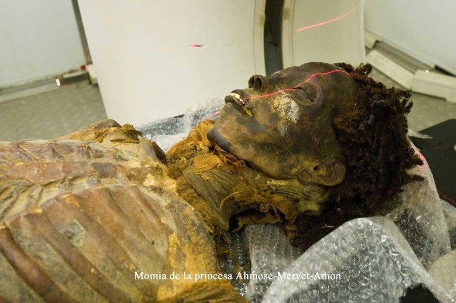 Searching for a Family: The Mysterious Mummy of Maiherpri and His Special Tomb