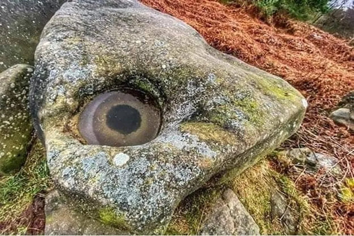 Nature's eye is always watching! Bizarre frost formation on a rock found in Derbyshire Peak District, UK - BAP NEWS