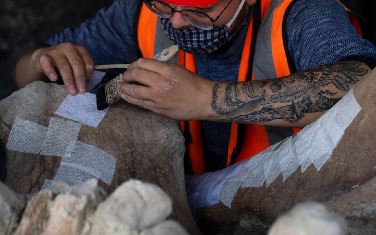 Hundreds of ancient mammoth skeletons were found buried under the site of a future airport in Mexico