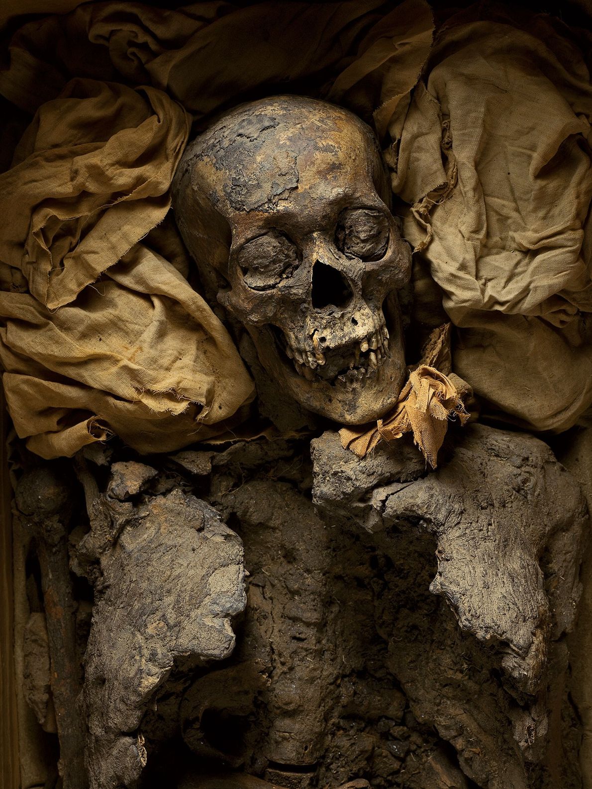 TUT’S GRANDFATHER TUT’S GRANDFATHER