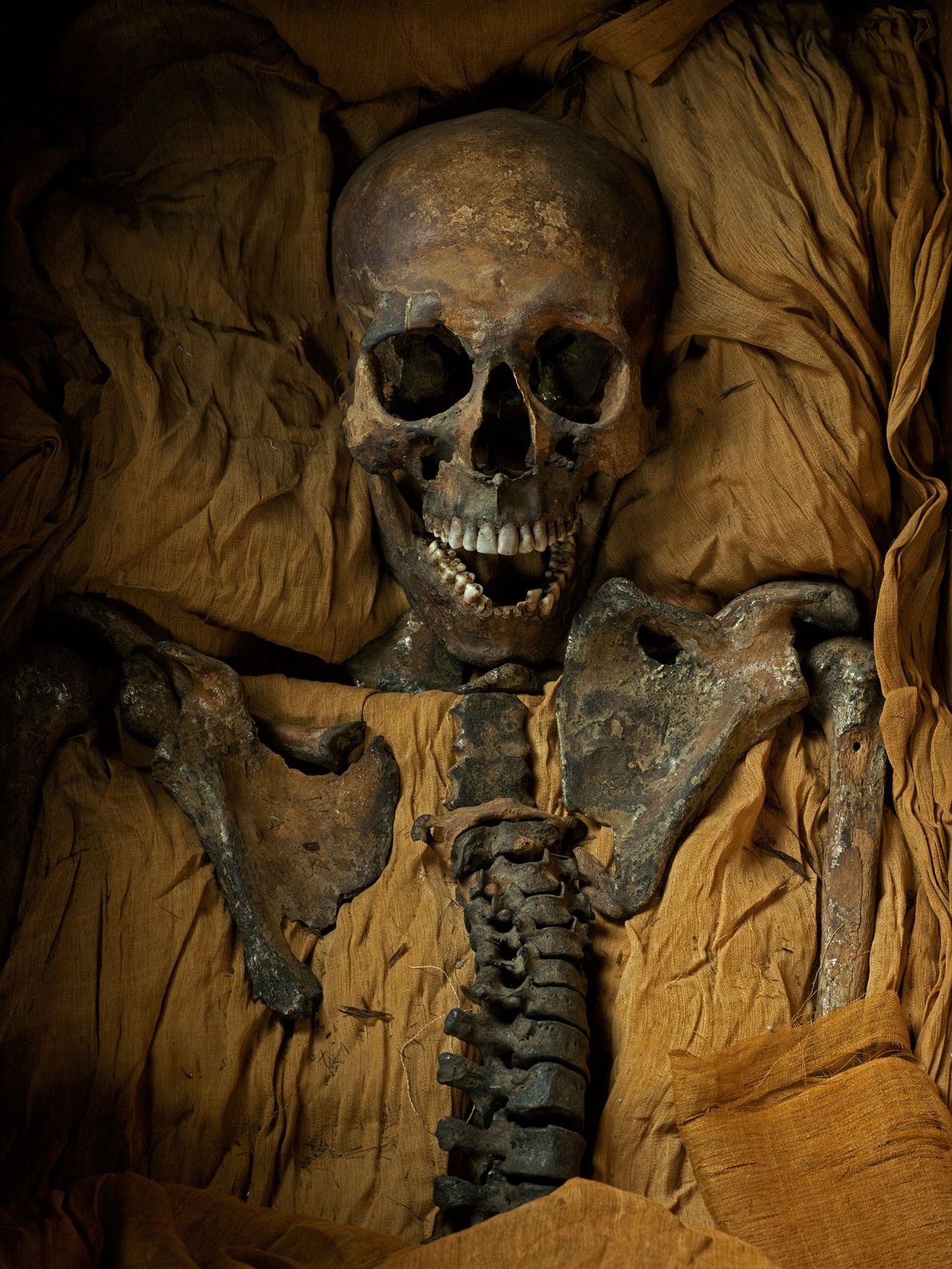 TUT’S FATHER TUT’S FATHER