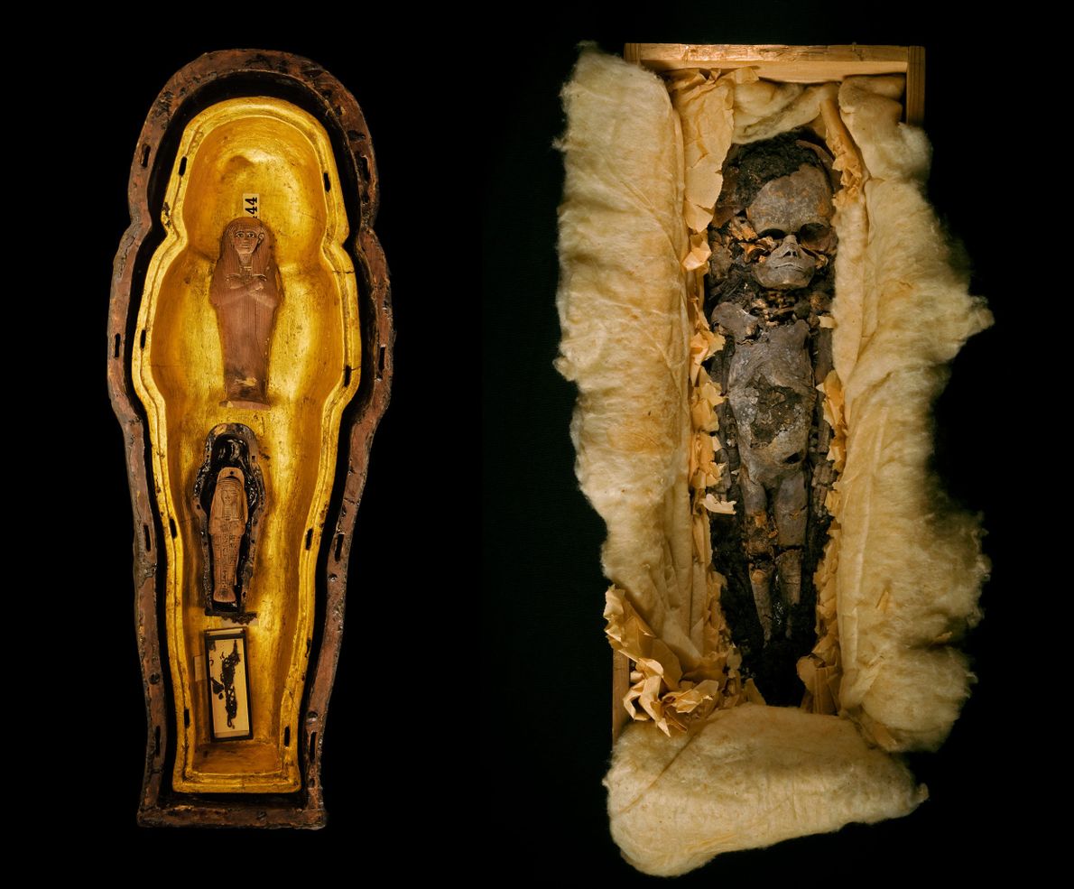 TUT’S DAUGHTERS? TUT’S DAUGHTERS?