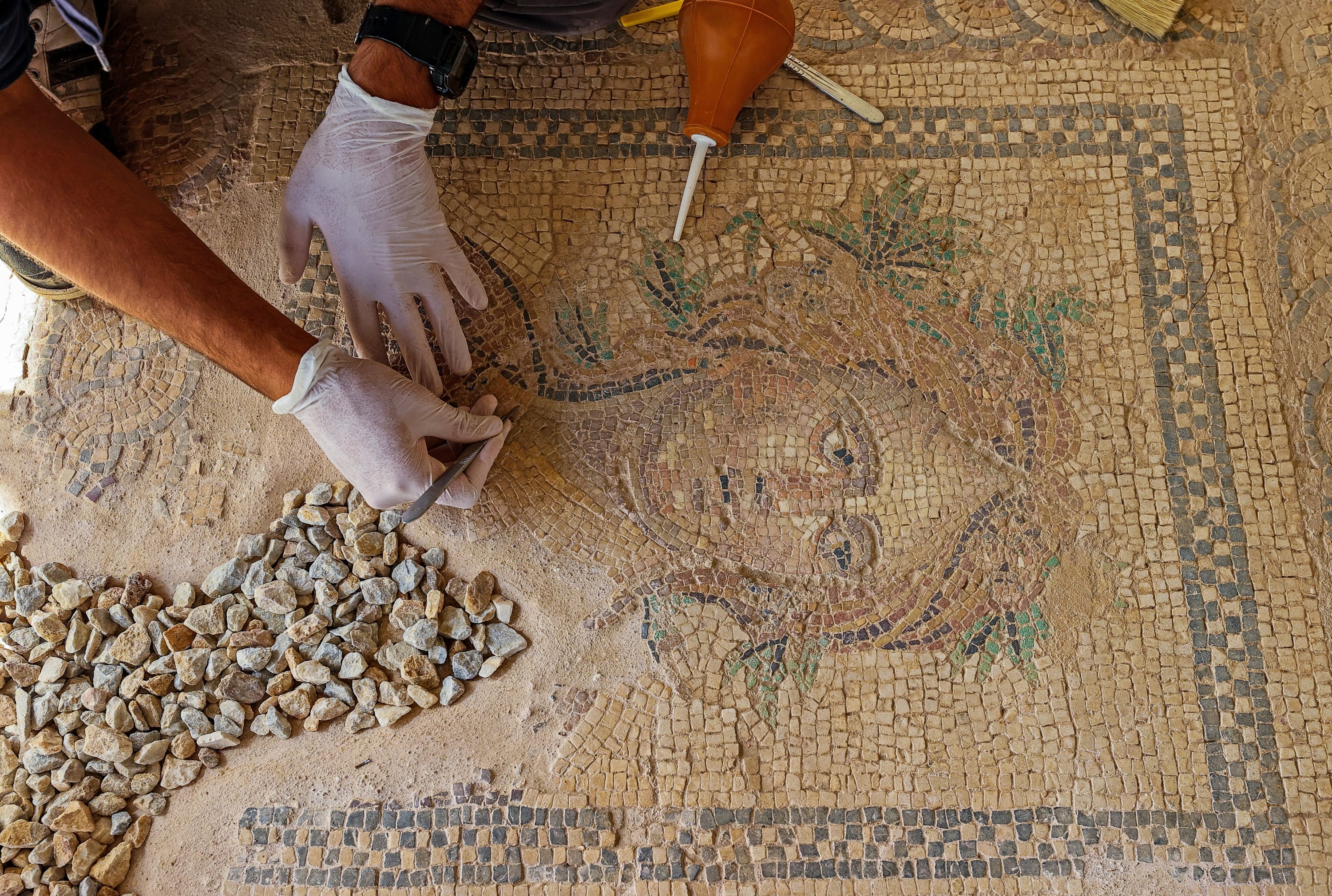 Archaeologists Unearthed Three Ancient Greek Mosaics 2nd Century BC - Mnews