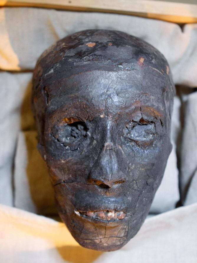 King Tut’s curse fears re-emerge