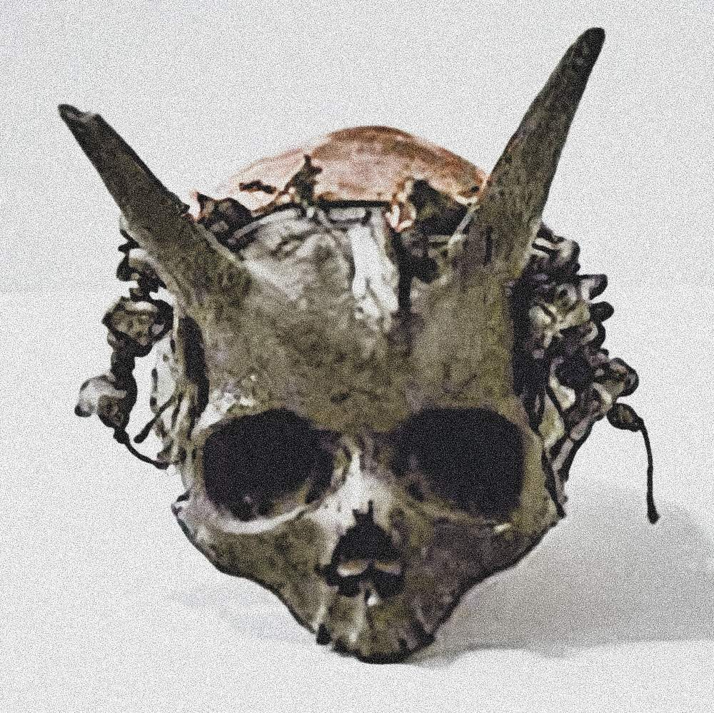 Ancient giant skull with 'horns' discovered during an archaeological excavation in Sayre in the 1880s - T-News