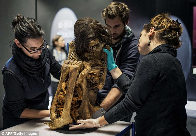 The frail skeleton will form part of the new museum's exploration of human representations of death