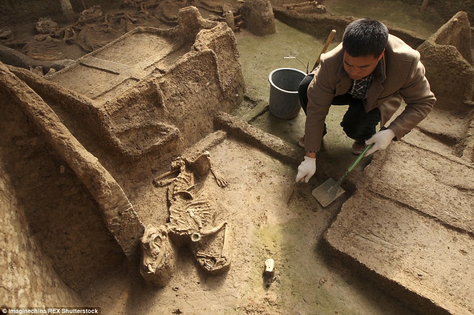 Style: Cow and sheep's heads and hoofs were also found in the burial site, which was said to be a Luhun Kingdom tradition at the time