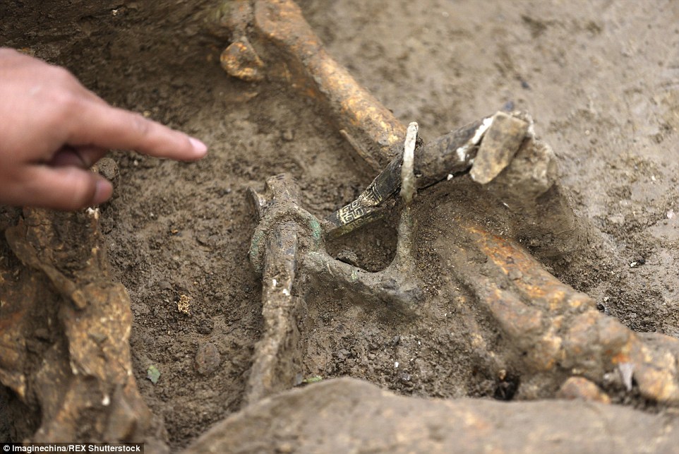 Details: The horses carried intricate adornments on them (pictured), giving archaeologists clues to the period that the tombs were built