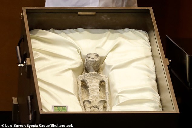 1,000-year-old 'Alien Corpses' Displayed In Glass Cases In Mexico - Mnews