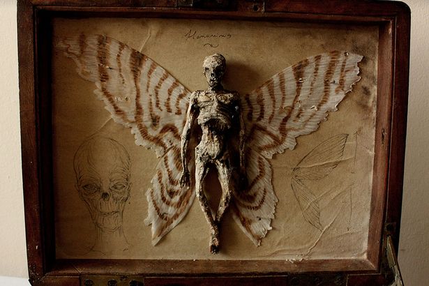 Discovery of a ‘strange’ tiny human skeleton with wings in the ‘basement of an ancient house in London’