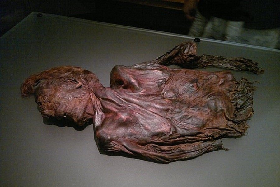 Bog Body: Mummified Corpses of the Iron Age | History Cooperative