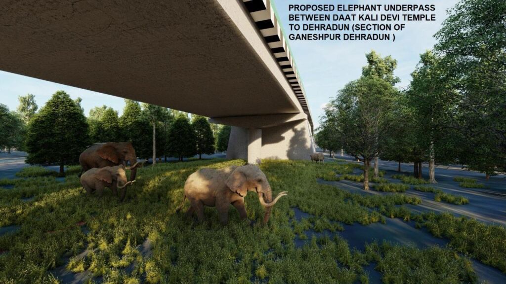 Innovative Infrastructure: India's 16-Kilometer Elevated Highway Fosters Wildlife Harmony