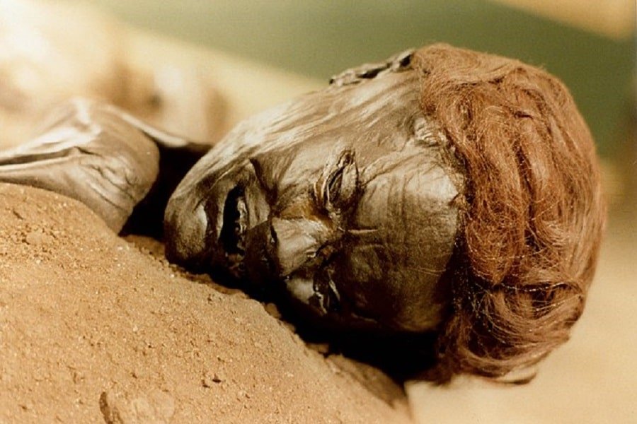 Bog Body: Mummified Corpses of the Iron Age | History Cooperative