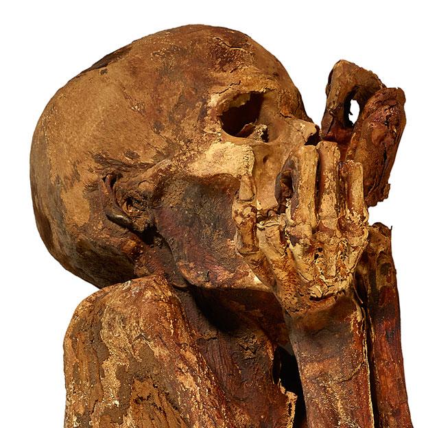 The Gebelein Man: A Remarkable 5,500-Year-Old Mummy and the Secrets of His Preservation - T-News