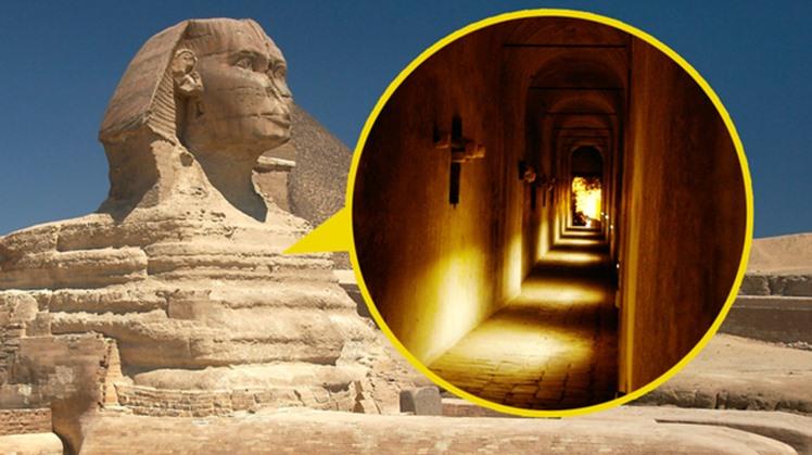 The Truth Behind The Sphinx Sc𝚊𝚛𝚎s Archaeologists Egyptian History Contains Many Mysteries That Archaeologists Still Cannot Decode - T-News