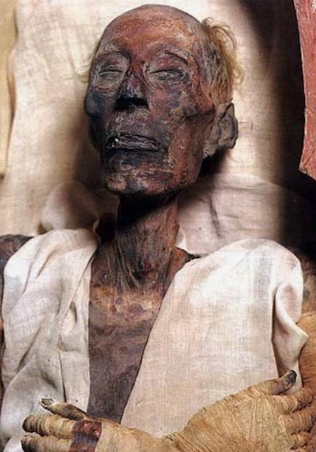 Mummy of Ramesses II Reveals Remarkable Longevity - Mnews