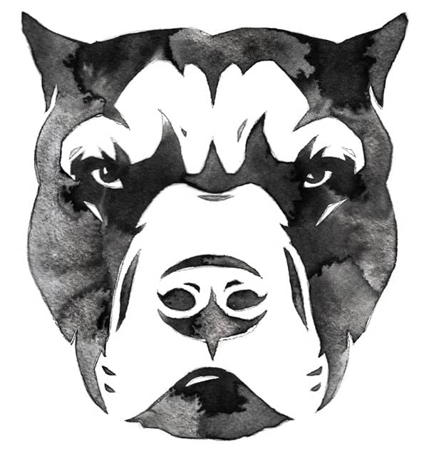 Becerrillo: The Terrifying War Dog of the Spanish Conquistadors