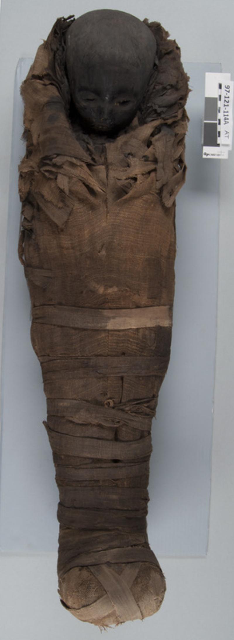 Unveiling the Enigmatic Roman-Era Child Mummy: Perfectly Preserved by Ancient Egyptian Artistry