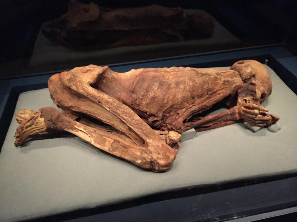 The Gebelein Man: A Remarkable 5,500-Year-Old Mummy and the Secrets of His Preservation - T-News