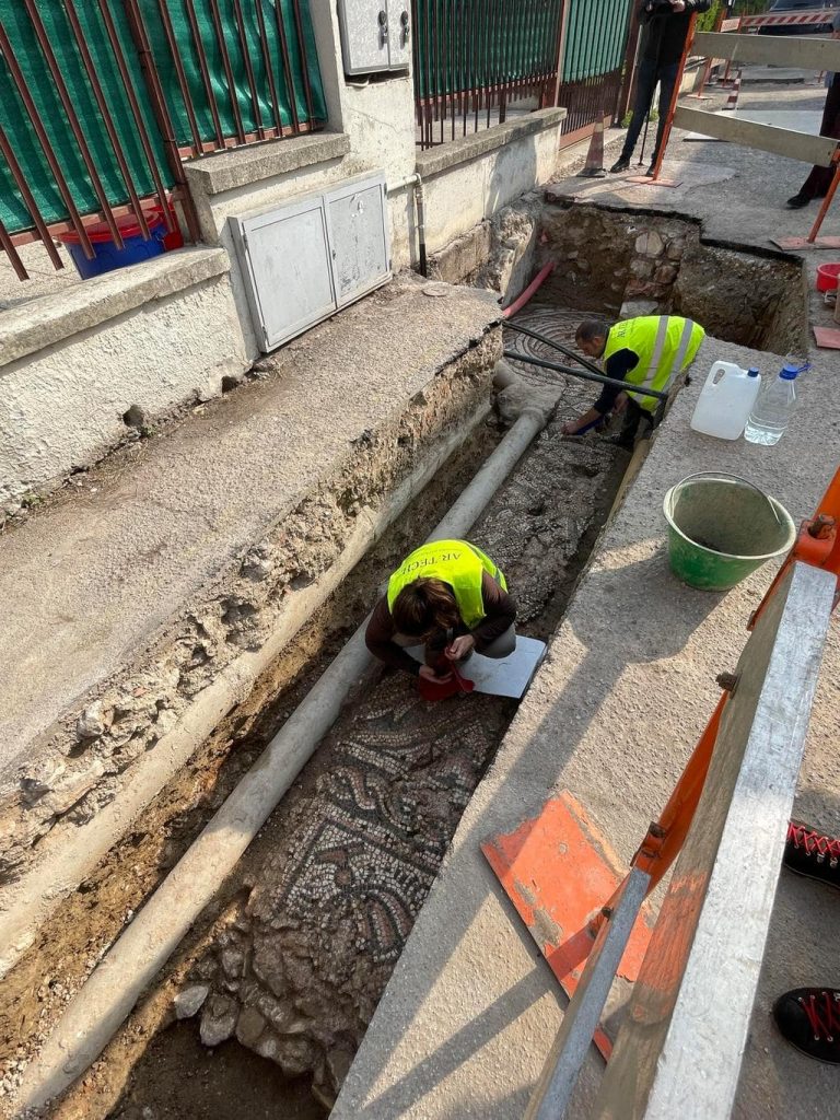 ‘Theodoric the Great’ villa mosaic found near Verona in Italy