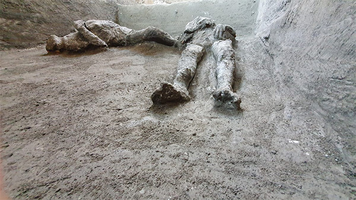 Victims of Vesuvius - World Archaeology