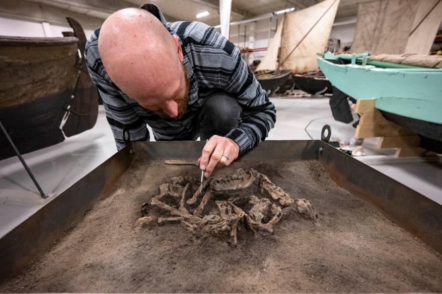 Faithful 8,400-year-old dog found buried with his master in Sweden