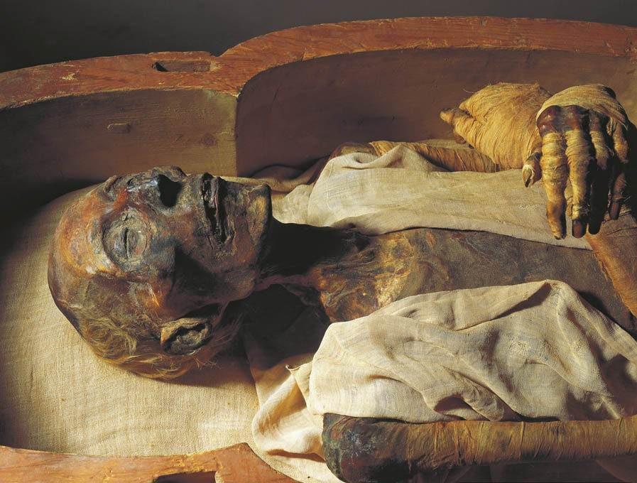 Mummy of Ramesses II Reveals Remarkable Longevity - Mnews