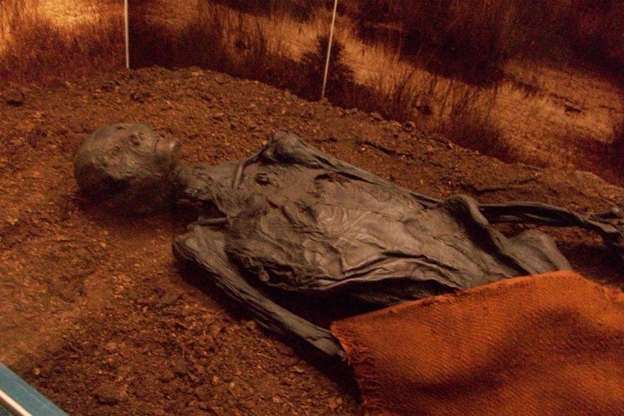 Bog Body: Mummified Corpses of the Iron Age | History Cooperative