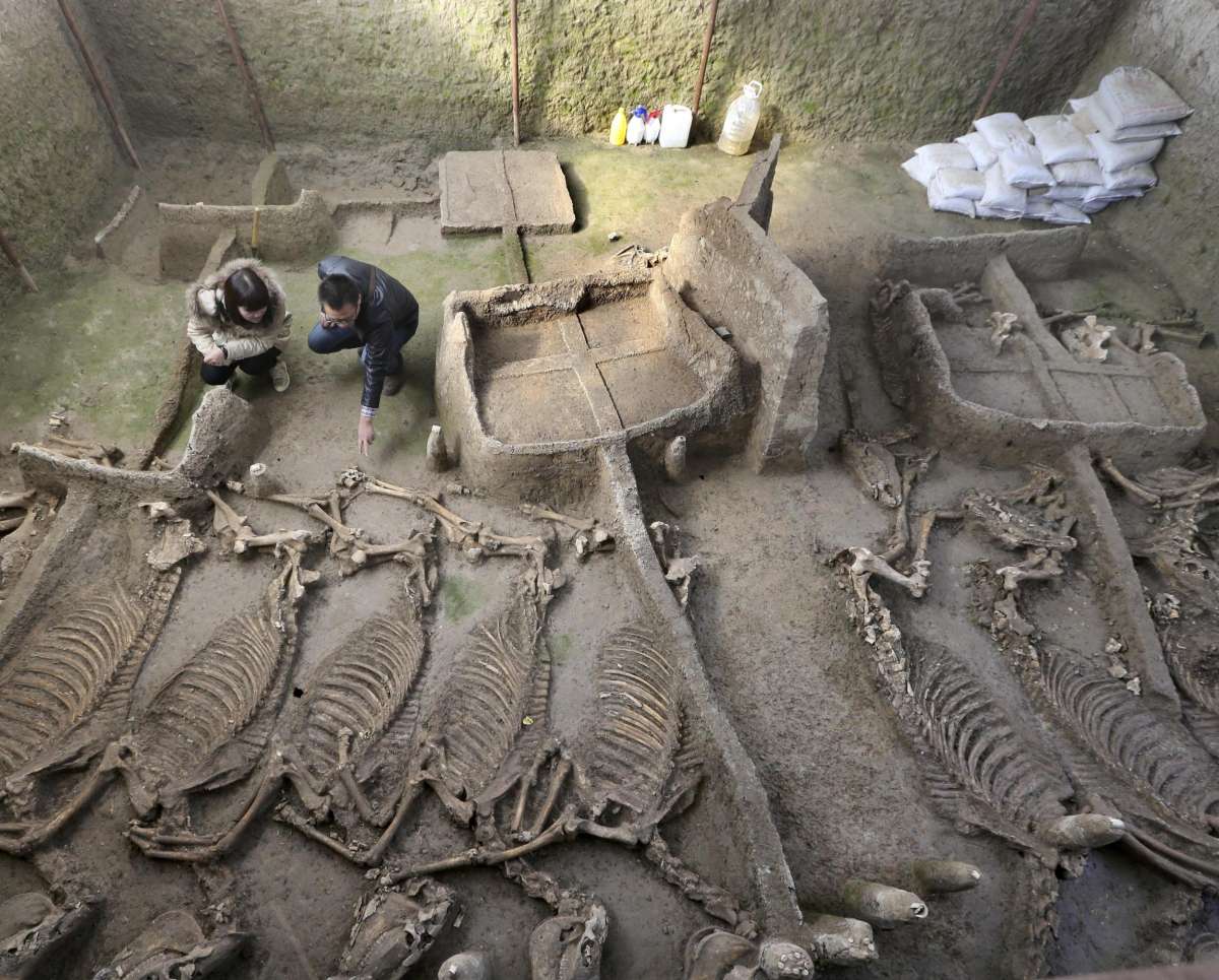 100 horse skeletons were found in a 2,400-year-old burial pit in China next to the Tomb of the Lord - BAP NEWS