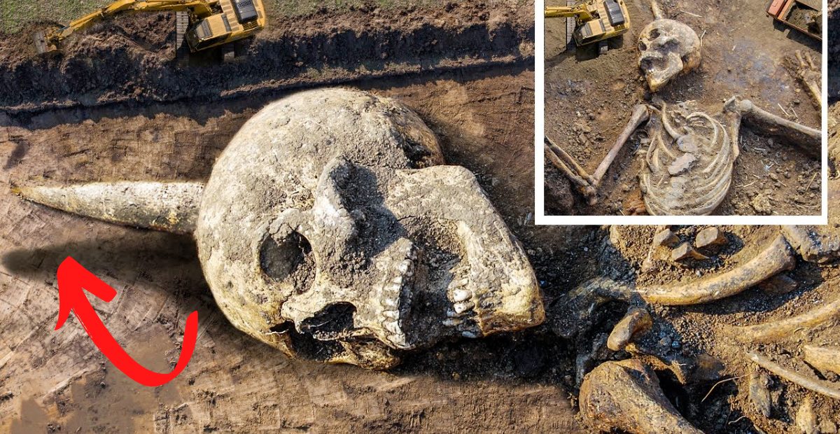 Horned Skeleton Unearthed: Ancient Giant with Horns Found in East Africa - T-News