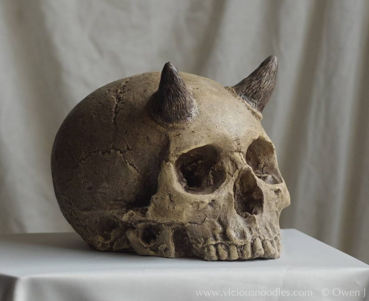 Horned Skeleton Unearthed: Ancient Giant with Horns Found in East Africa - T-News