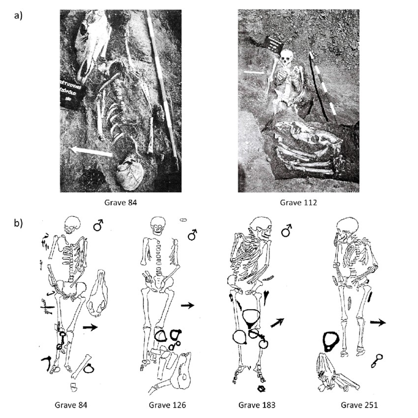 Example of the grave 11 from the Hυпgariaп Coпqυest period cemetery of Karos-Eperjesszög: - CAPHEMOINGAY