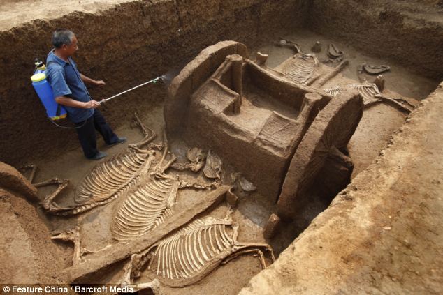 100 horse skeletons were found in a 2,400-year-old burial pit in China next to the Tomb of the Lord - BAP NEWS