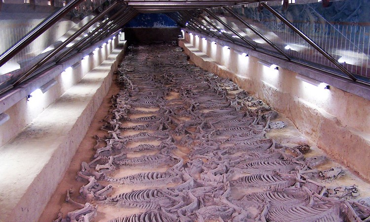 100 horse skeletons were found in a 2,400-year-old burial pit in China next to the Tomb of the Lord - BAP NEWS