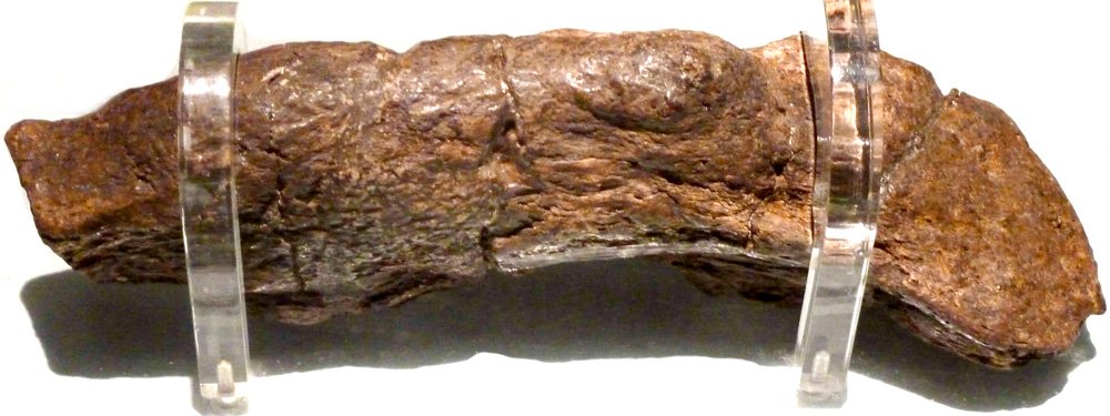 “This is the largest fossilized human turd ever found. It belonged to a sick Viking in the 9th Century AD, and has been valued at $39,000”