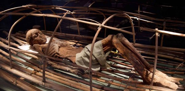 What can you tell me about the ancient Tarim mummies?