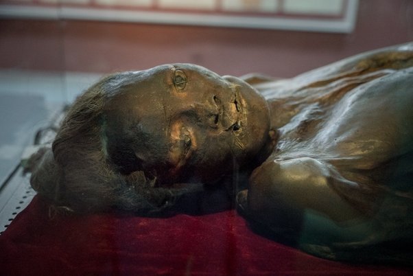 What can you tell me about the ancient Tarim mummies?