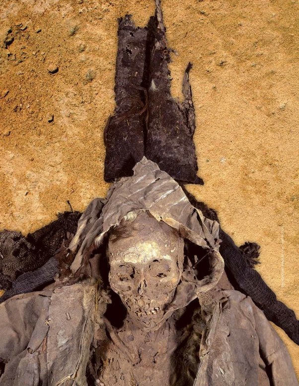 What can you tell me about the ancient Tarim mummies?