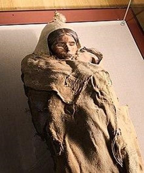 What can you tell me about the ancient Tarim mummies?