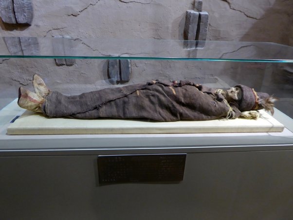 What can you tell me about the ancient Tarim mummies?