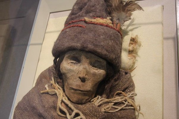 What can you tell me about the ancient Tarim mummies?