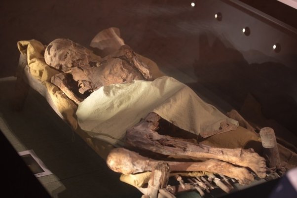 What can you tell me about the ancient Tarim mummies?