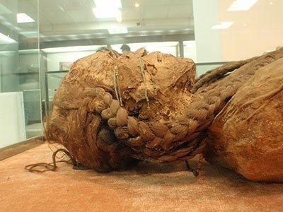 What can you tell me about the ancient Tarim mummies?