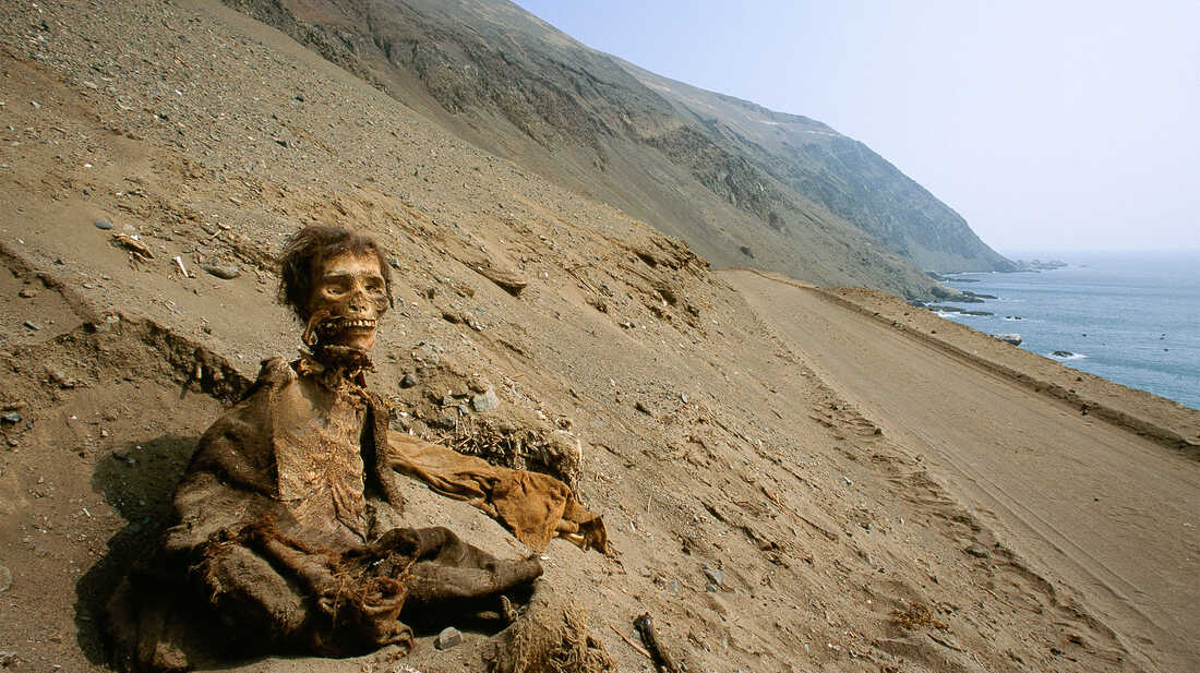 Chile’s archaeologists fight to save the world’s oldest mummies from climate change